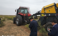 2019年，內蒙奈吉牧草有限公司，采購一臺Anderson檸條平茬機